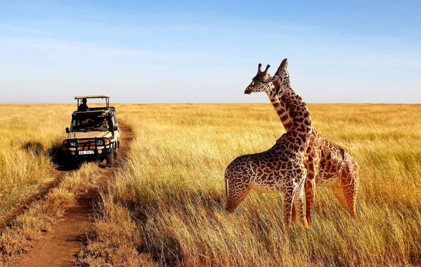 The Great Migration Safari – Tanzania